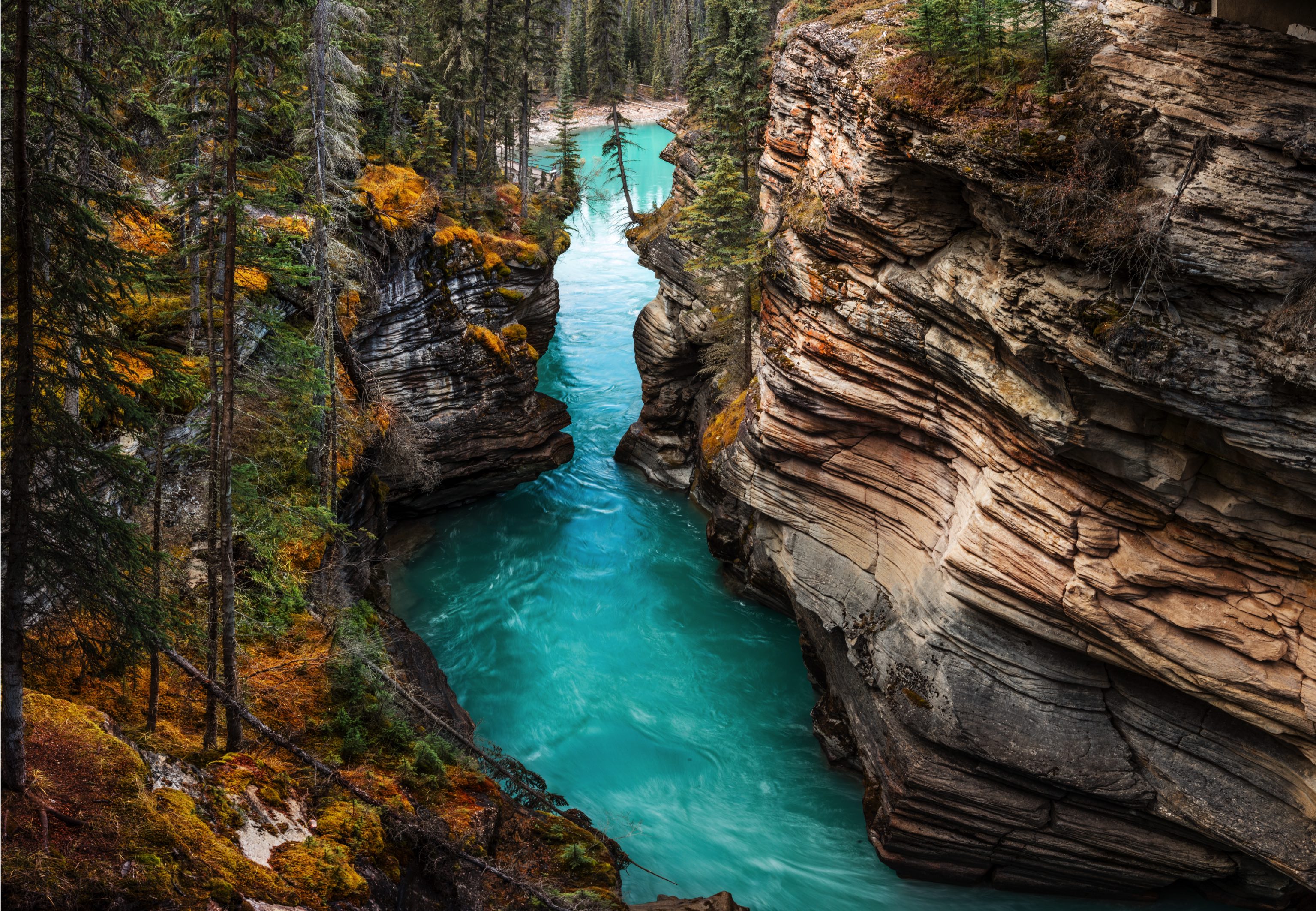 Jasper National Park in Canada | Maple Treasures